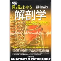 【DVD】見る見るわかる解剖学