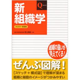 Qシリーズ　新組織学　改訂第6版